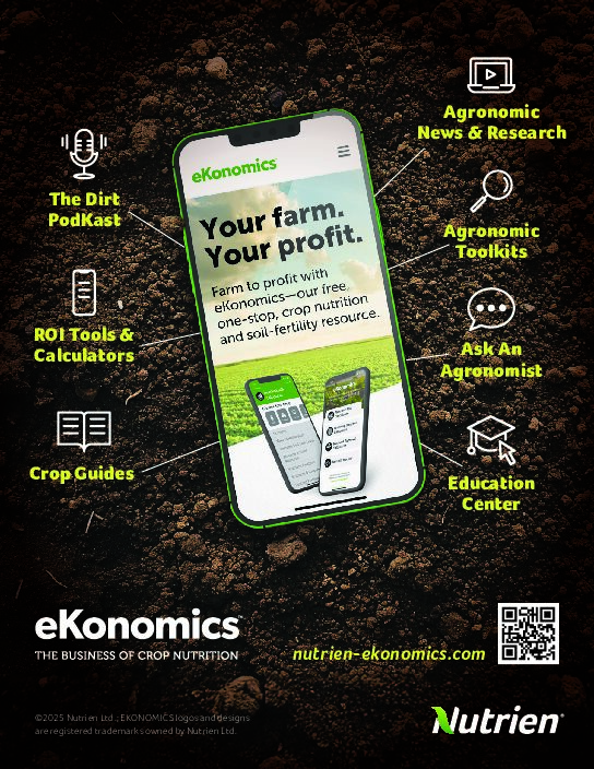 eKonomics Advertorial - suppport